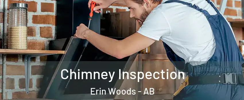  Chimney Inspection Erin Woods - AB