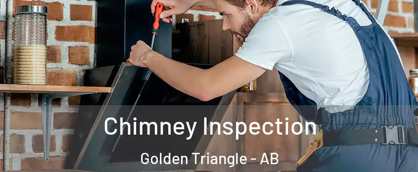  Chimney Inspection Golden Triangle - AB