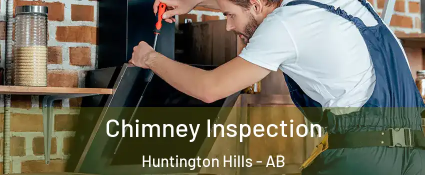  Chimney Inspection Huntington Hills - AB