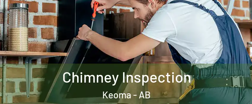 Chimney Inspection Keoma - AB
