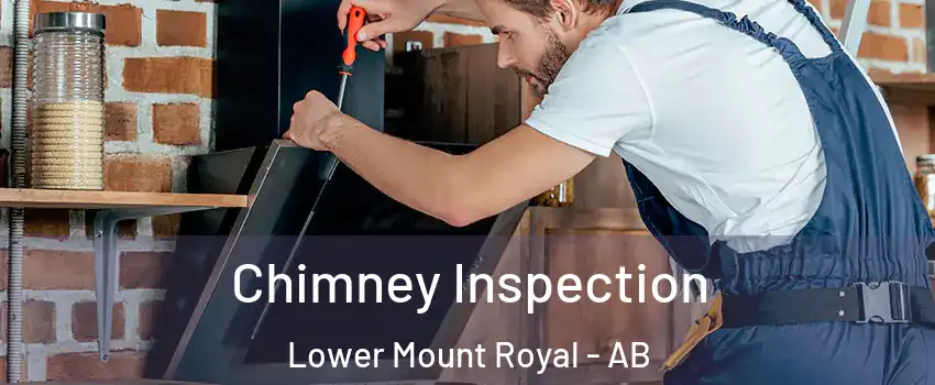  Chimney Inspection Lower Mount Royal - AB