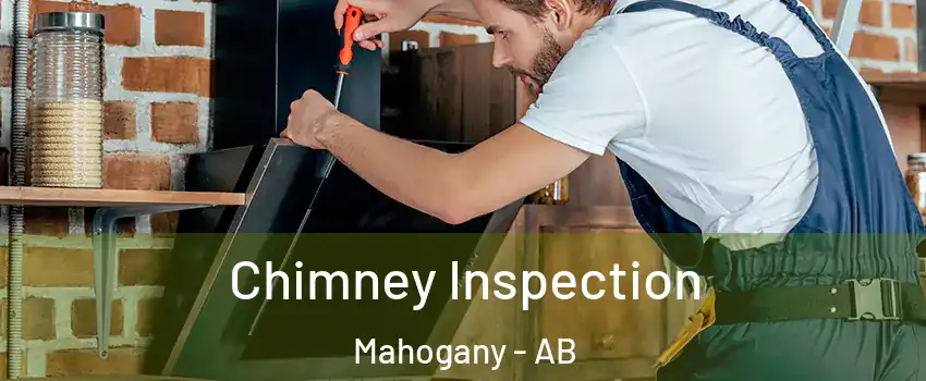  Chimney Inspection Mahogany - AB