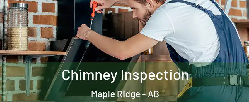 Chimney Inspection Maple Ridge - AB