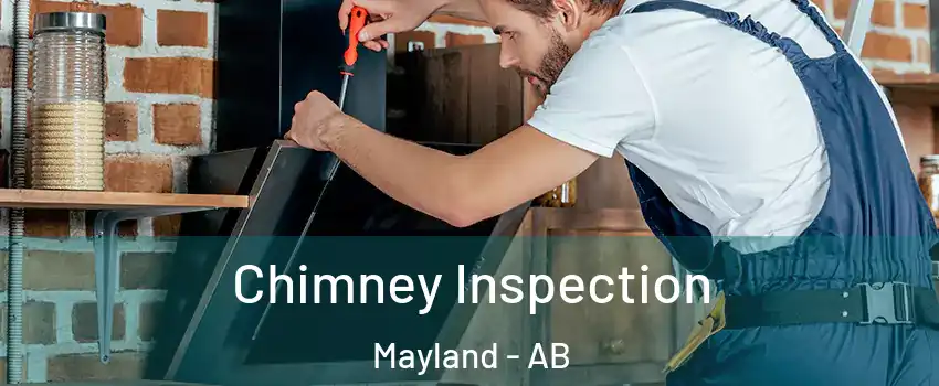  Chimney Inspection Mayland - AB