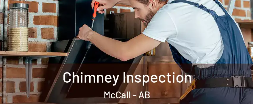  Chimney Inspection McCall - AB