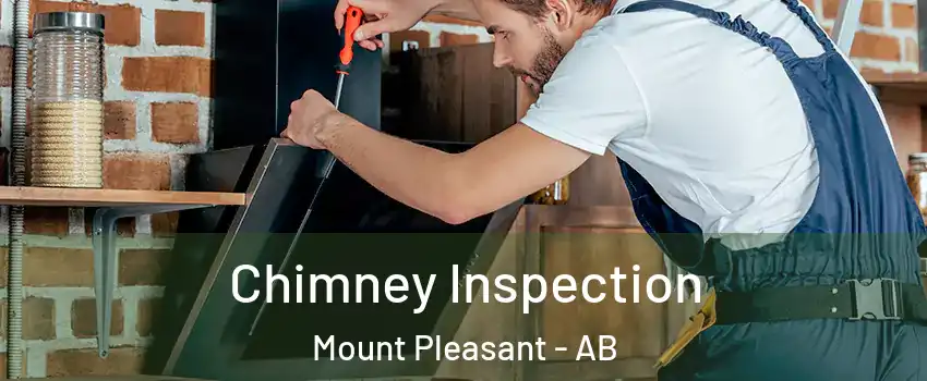  Chimney Inspection Mount Pleasant - AB