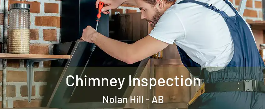  Chimney Inspection Nolan Hill - AB