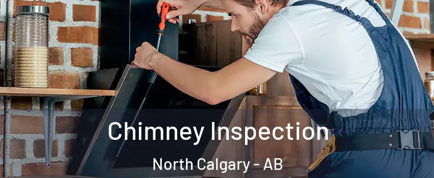  Chimney Inspection North Calgary - AB