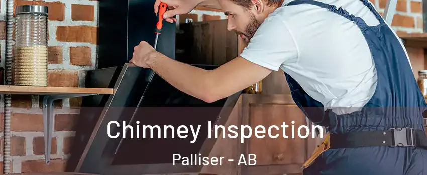  Chimney Inspection Palliser - AB