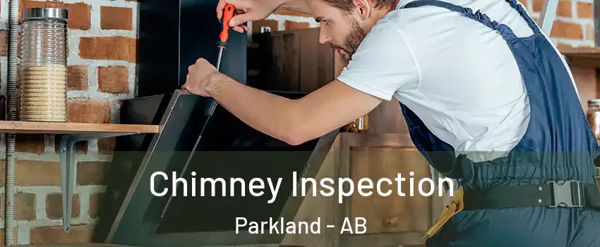  Chimney Inspection Parkland - AB