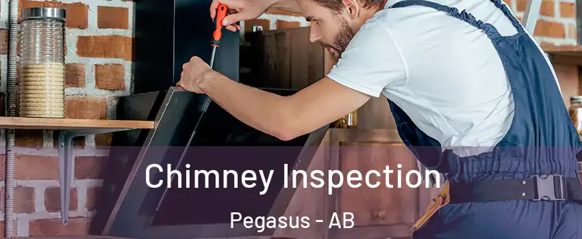  Chimney Inspection Pegasus - AB