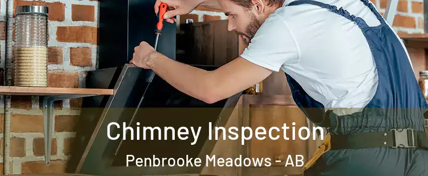  Chimney Inspection Penbrooke Meadows - AB