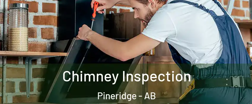  Chimney Inspection Pineridge - AB