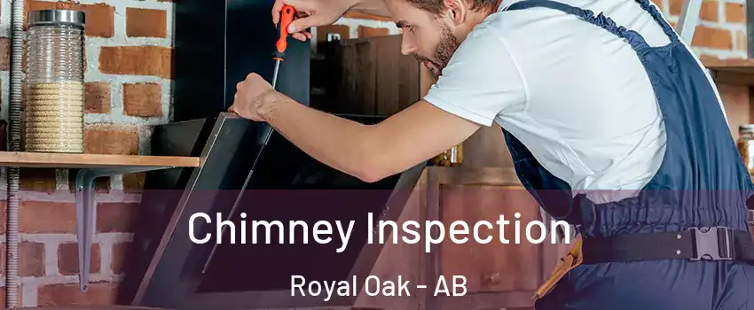  Chimney Inspection Royal Oak - AB