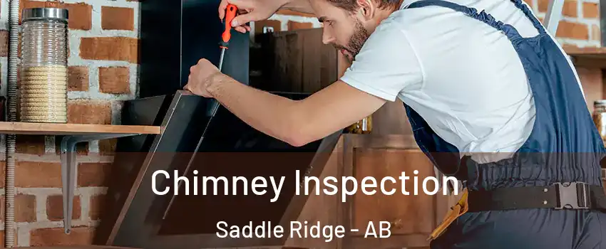  Chimney Inspection Saddle Ridge - AB