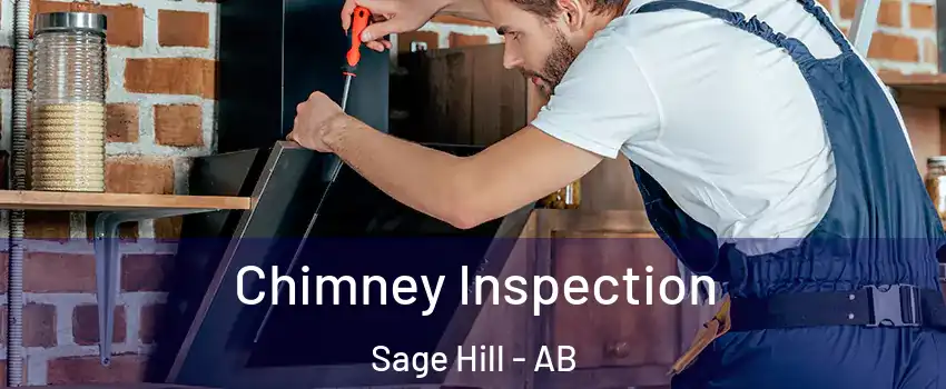  Chimney Inspection Sage Hill - AB