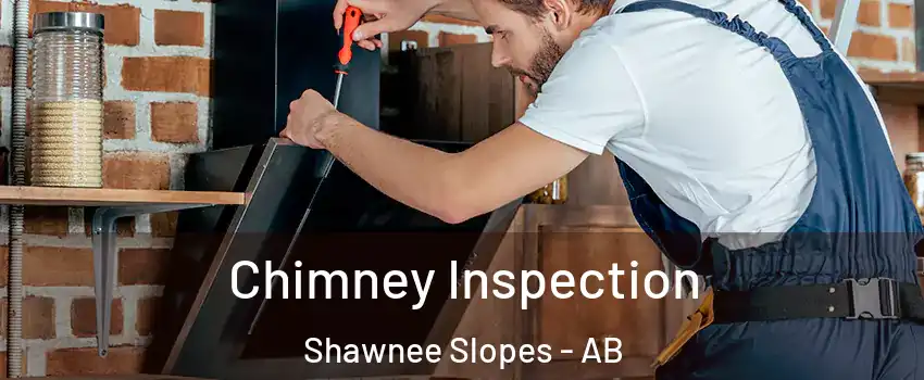  Chimney Inspection Shawnee Slopes - AB