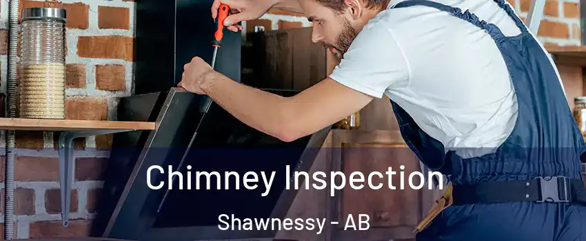  Chimney Inspection Shawnessy - AB