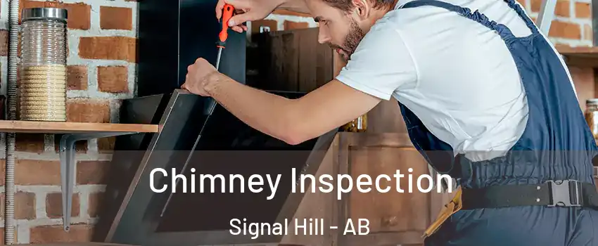  Chimney Inspection Signal Hill - AB