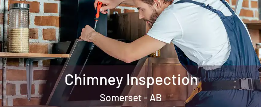  Chimney Inspection Somerset - AB