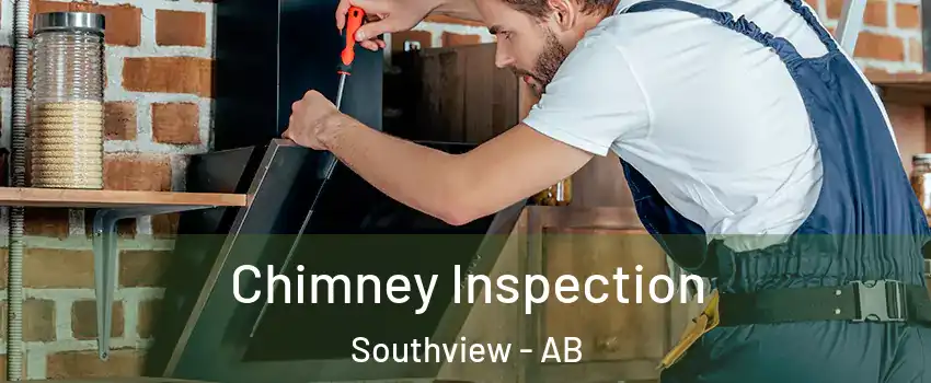  Chimney Inspection Southview - AB