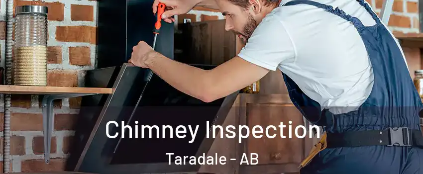  Chimney Inspection Taradale - AB