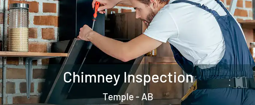  Chimney Inspection Temple - AB