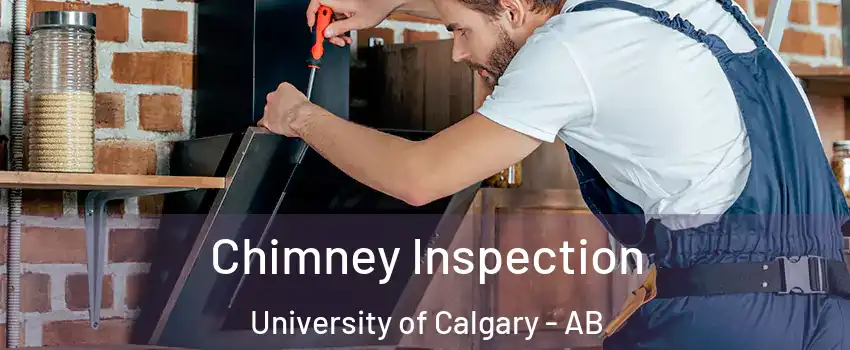  Chimney Inspection University of Calgary - AB
