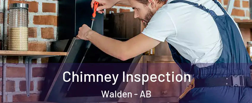  Chimney Inspection Walden - AB