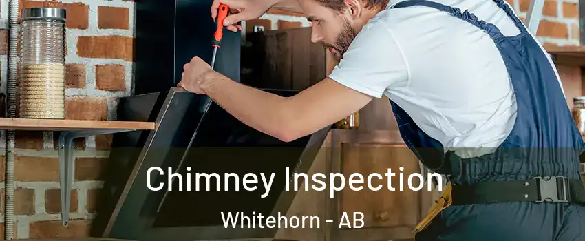  Chimney Inspection Whitehorn - AB