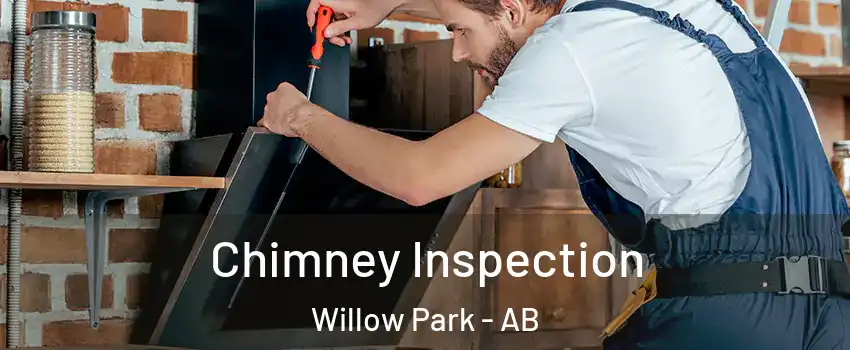  Chimney Inspection Willow Park - AB