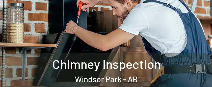  Chimney Inspection Windsor Park - AB