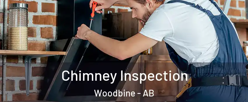  Chimney Inspection Woodbine - AB