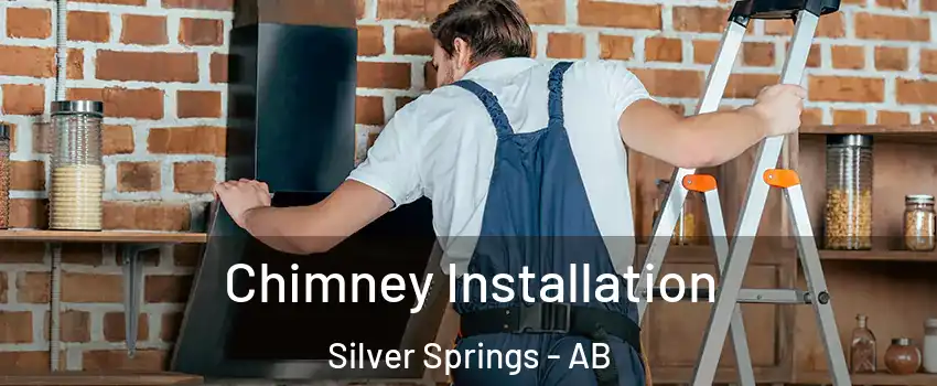  Chimney Installation Silver Springs - AB
