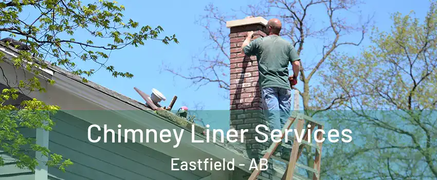  Chimney Liner Services Eastfield - AB