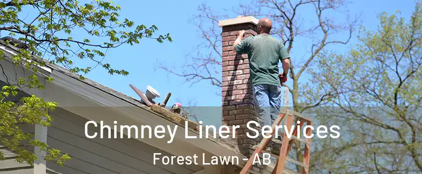  Chimney Liner Services Forest Lawn - AB
