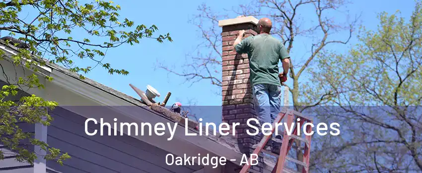  Chimney Liner Services Oakridge - AB