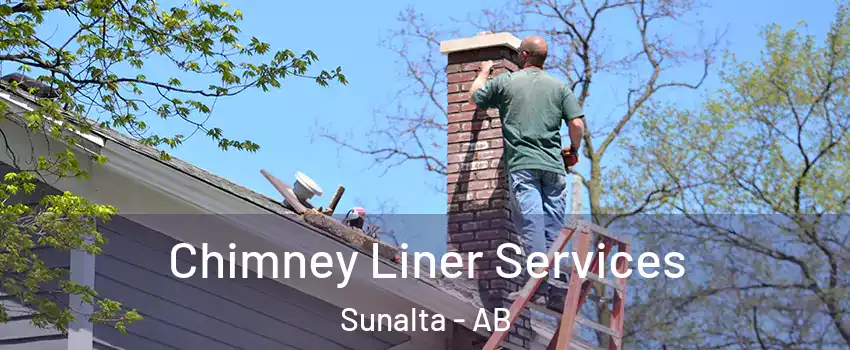  Chimney Liner Services Sunalta - AB