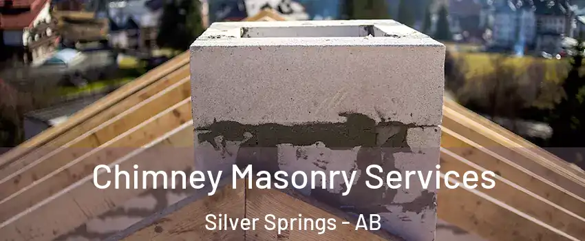  Chimney Masonry Services Silver Springs - AB