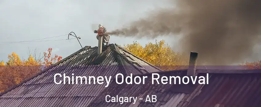  Chimney Odor Removal Calgary - AB