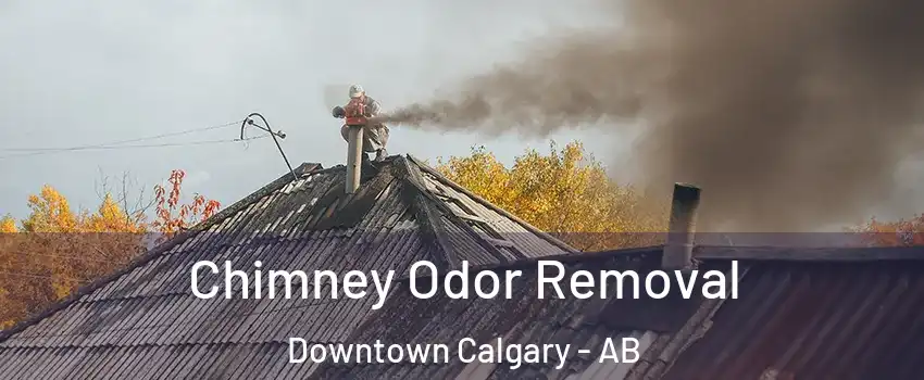  Chimney Odor Removal Downtown Calgary - AB