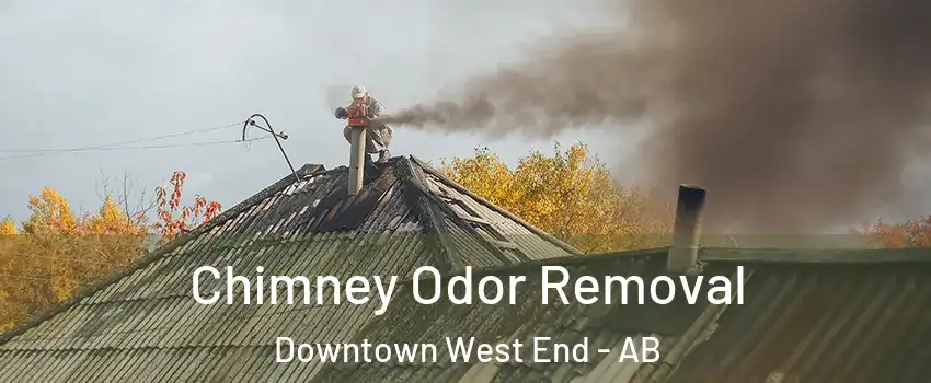  Chimney Odor Removal Downtown West End - AB