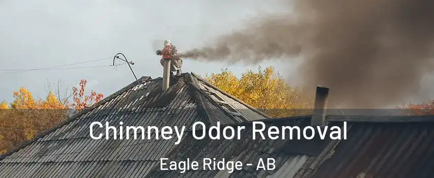 Chimney Odor Removal Eagle Ridge - AB
