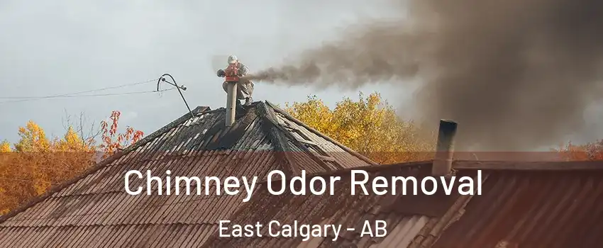  Chimney Odor Removal East Calgary - AB