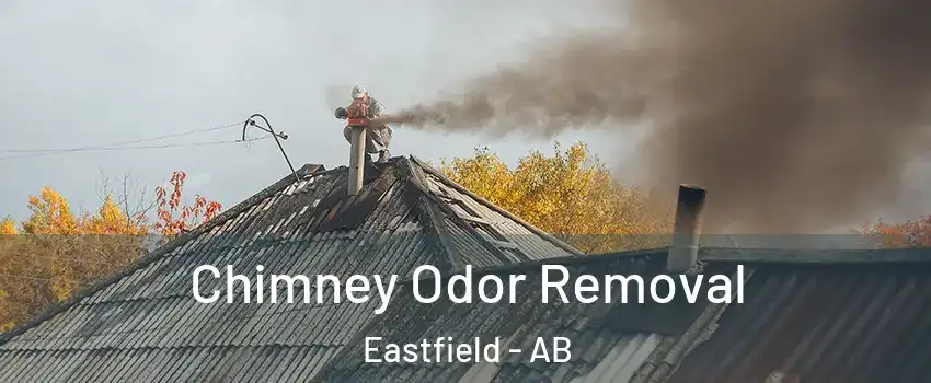  Chimney Odor Removal Eastfield - AB