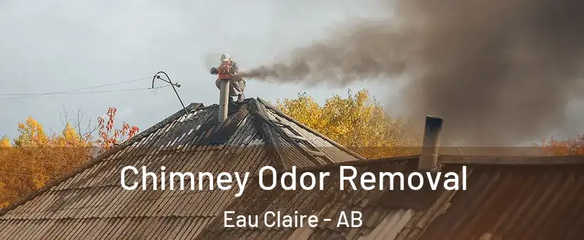  Chimney Odor Removal Eau Claire - AB