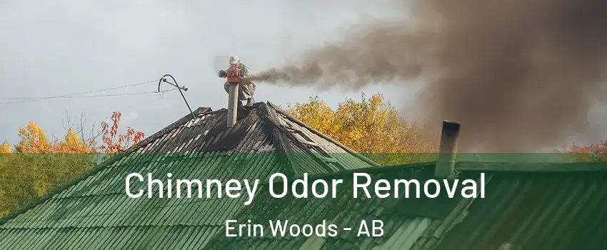  Chimney Odor Removal Erin Woods - AB
