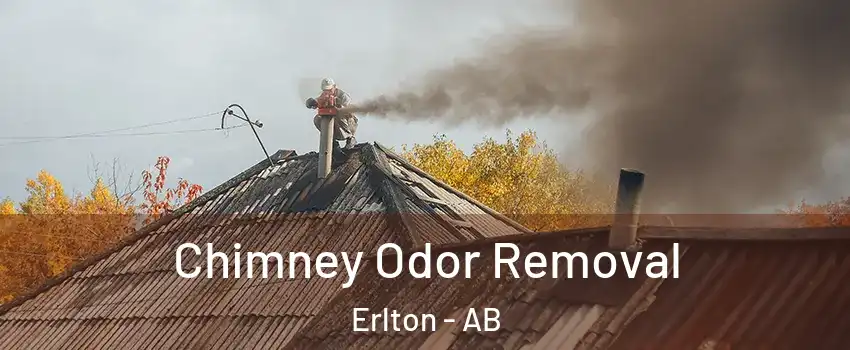  Chimney Odor Removal Erlton - AB