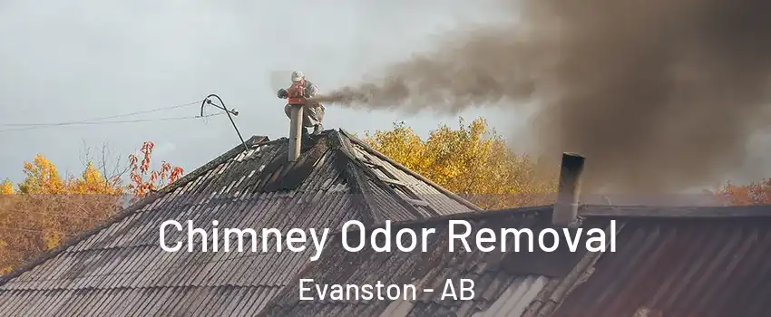  Chimney Odor Removal Evanston - AB