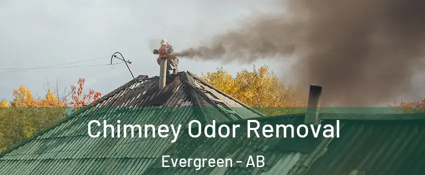  Chimney Odor Removal Evergreen - AB